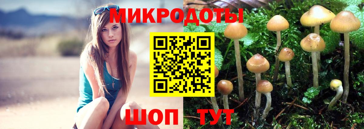 Ачинск  Галлюциногенные грибы GOLDEN TEACHER  Вход с VPN  закладки  Галлюциногенные грибы Magic Shrooms 